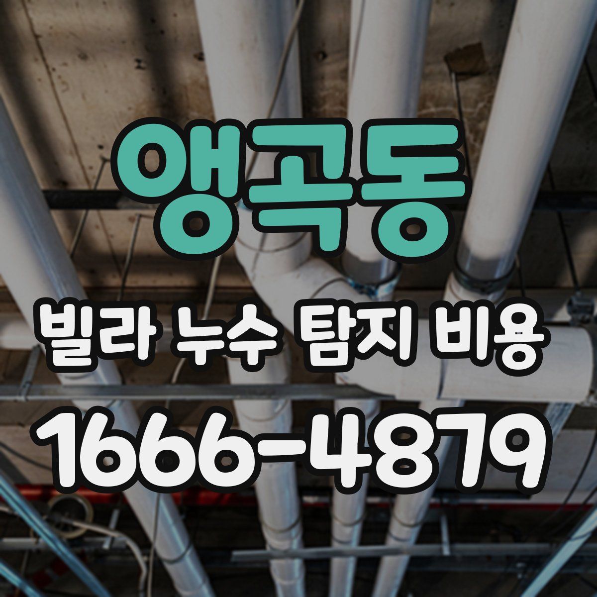 앵곡동 빌라 누수 탐지 비용