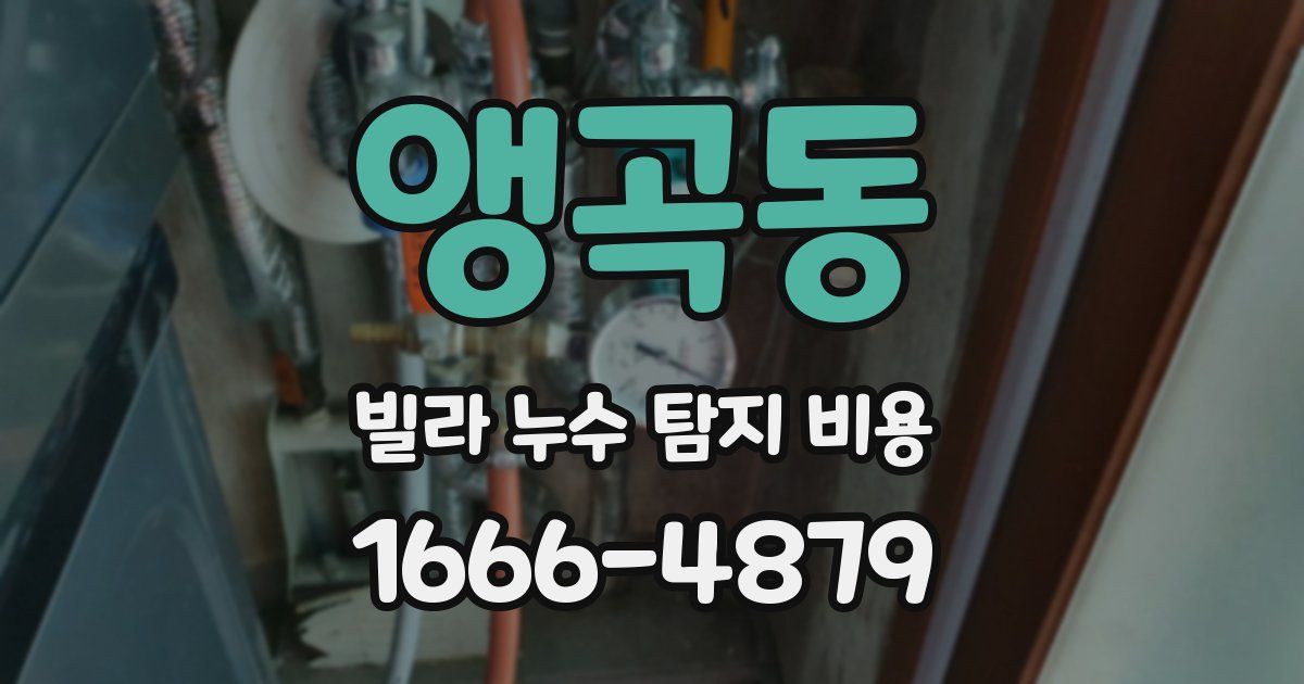 앵곡동 빌라 누수 탐지 비용