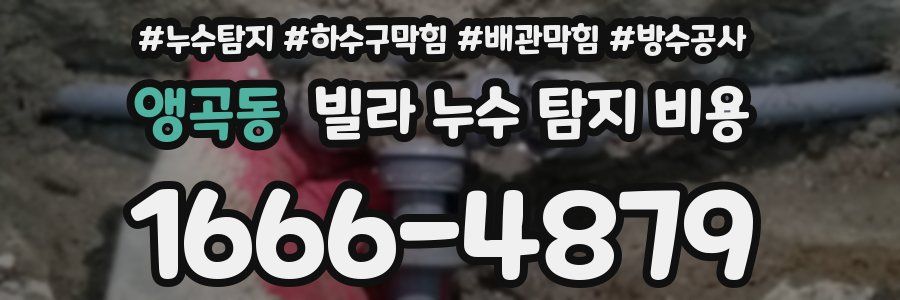 앵곡동 빌라 누수 탐지 비용