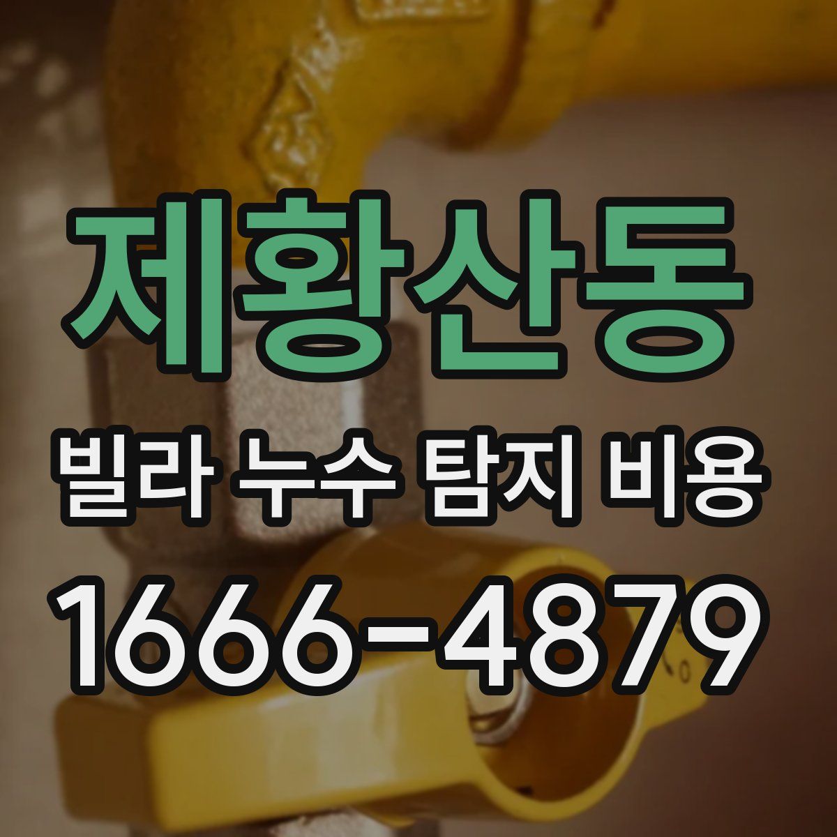 제황산동 빌라 누수 탐지 비용