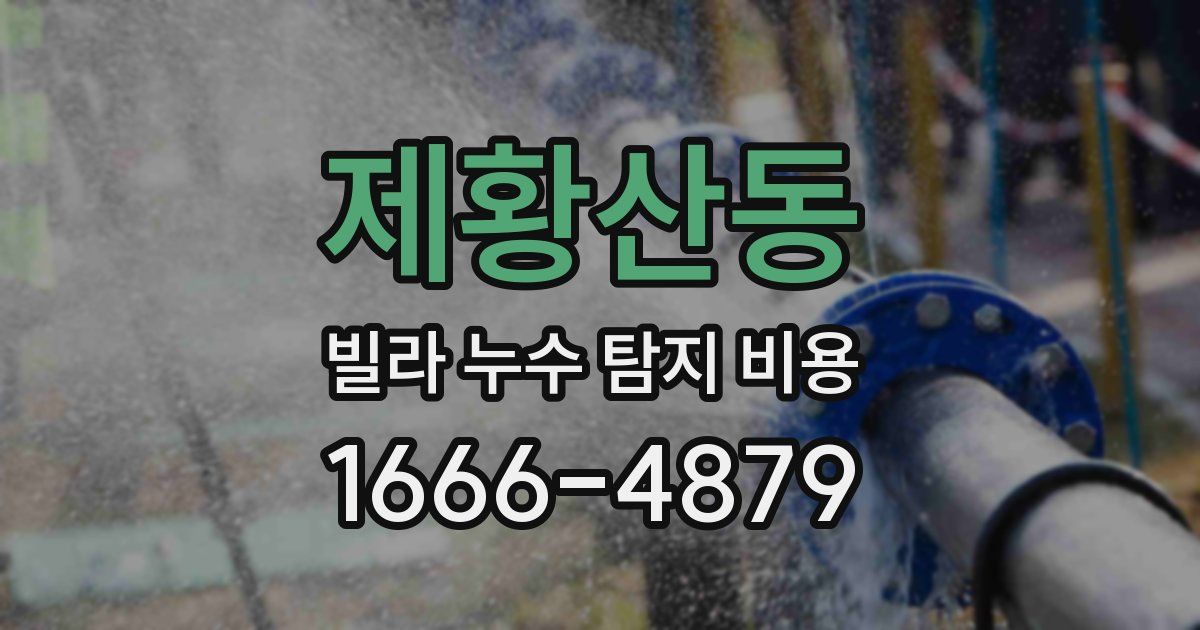 제황산동 빌라 누수 탐지 비용