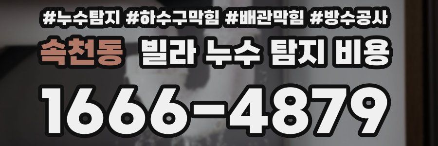 속천동 빌라 누수 탐지 비용