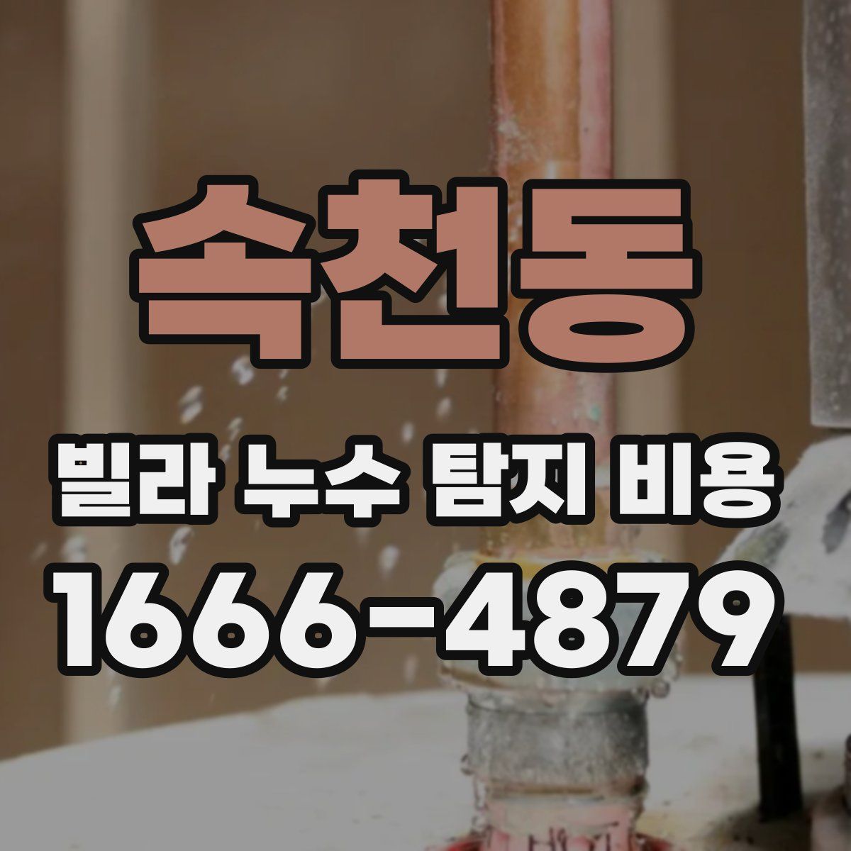 속천동 빌라 누수 탐지 비용