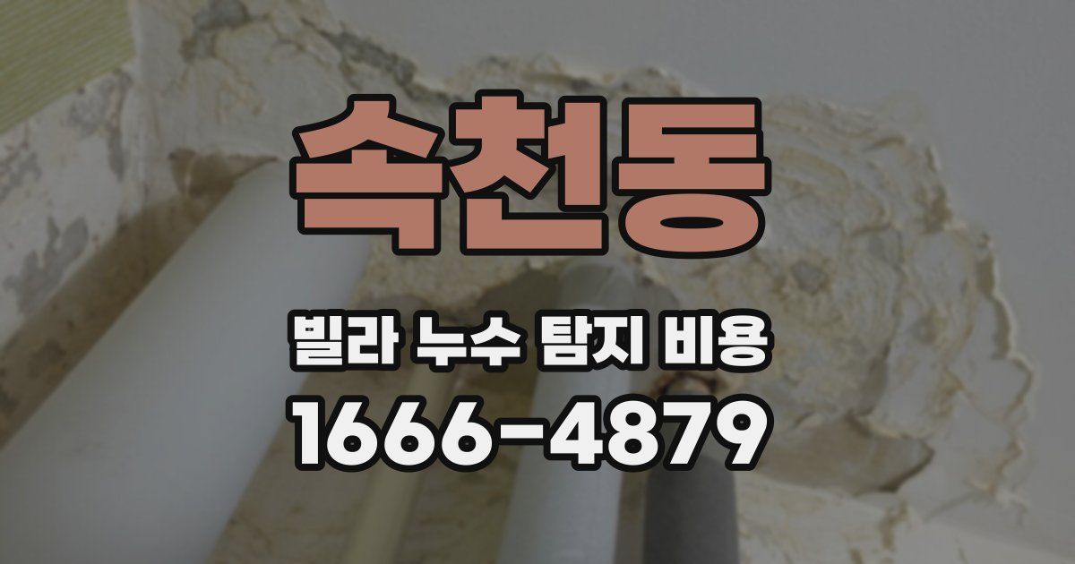 속천동 빌라 누수 탐지 비용