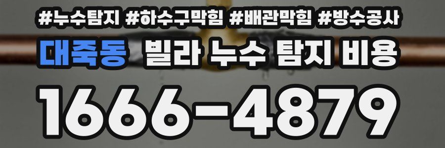 대죽동 빌라 누수 탐지 비용