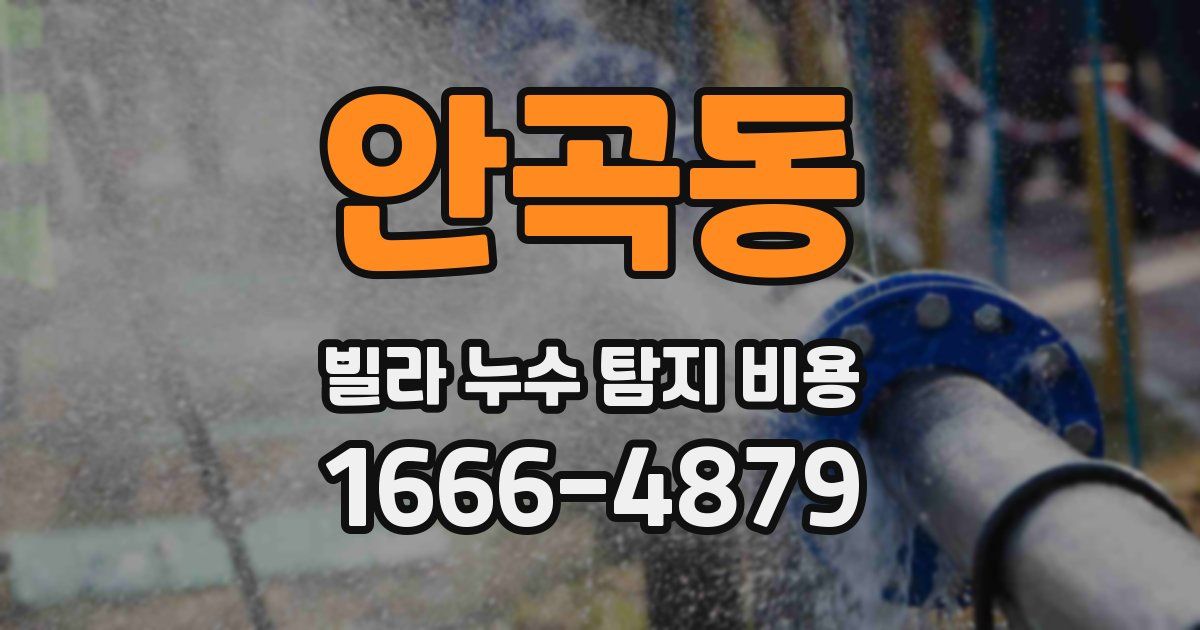 안곡동 빌라 누수 탐지 비용