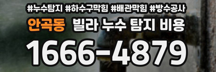 안곡동 빌라 누수 탐지 비용