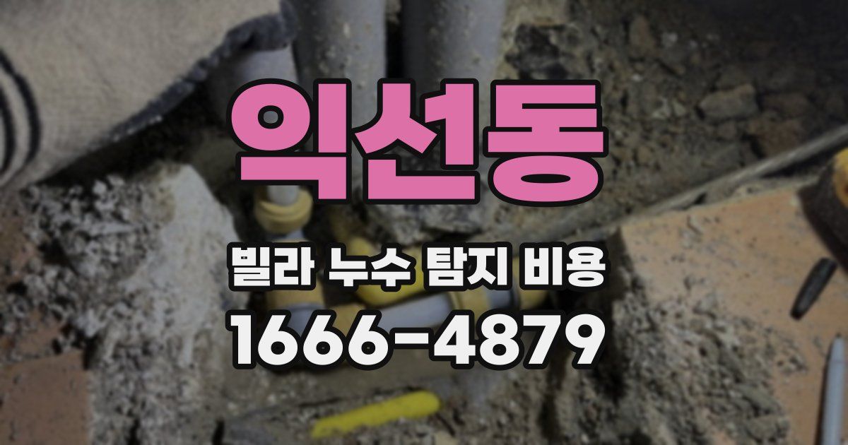익선동 빌라 누수 탐지 비용