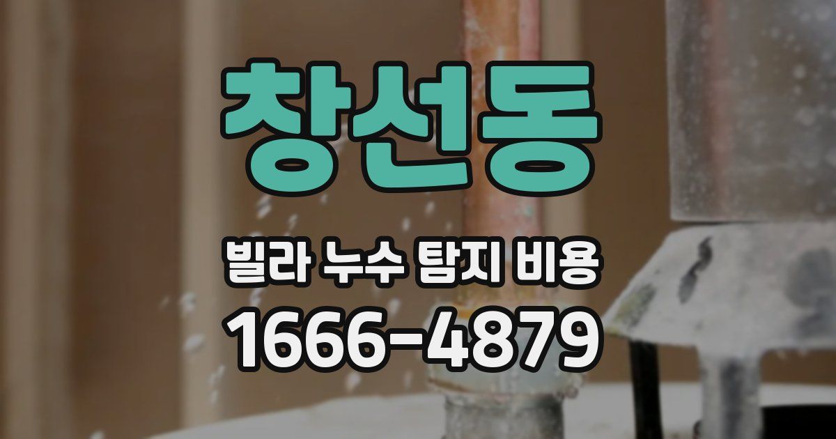 창선동 빌라 누수 탐지 비용