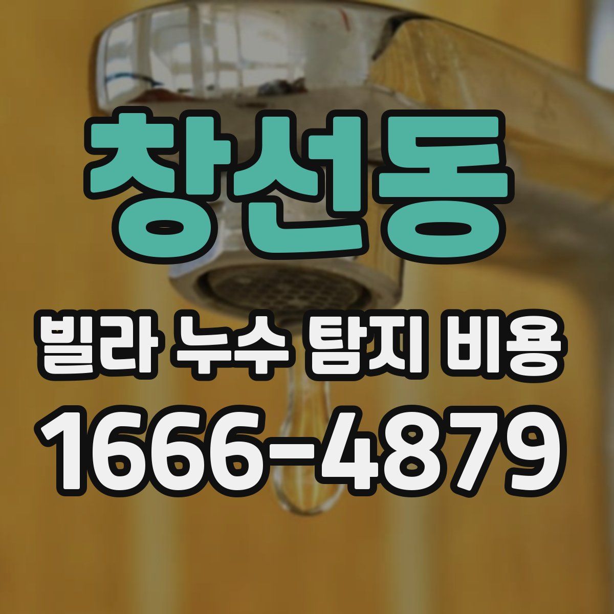 창선동 빌라 누수 탐지 비용