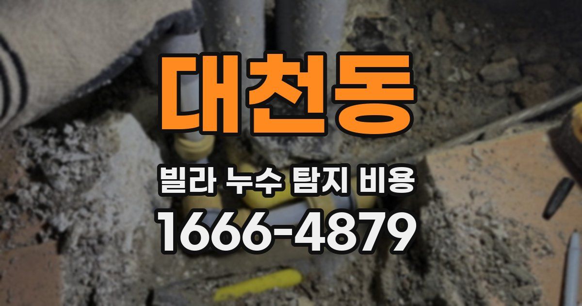 대천동 빌라 누수 탐지 비용