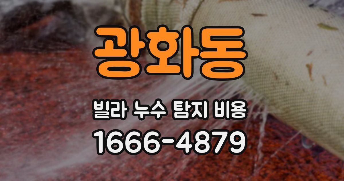 광화동 빌라 누수 탐지 비용