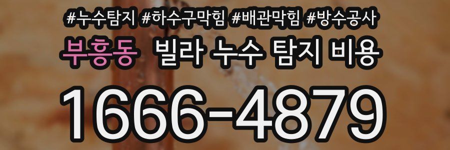 부흥동 빌라 누수 탐지 비용