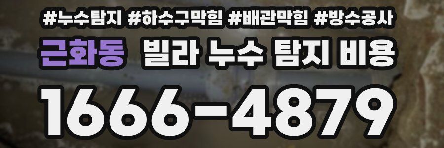 근화동 빌라 누수 탐지 비용