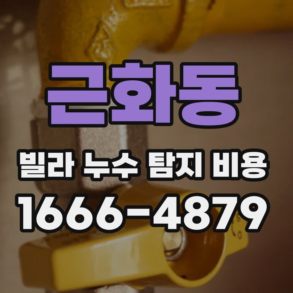 근화동 빌라 누수 탐지 비용