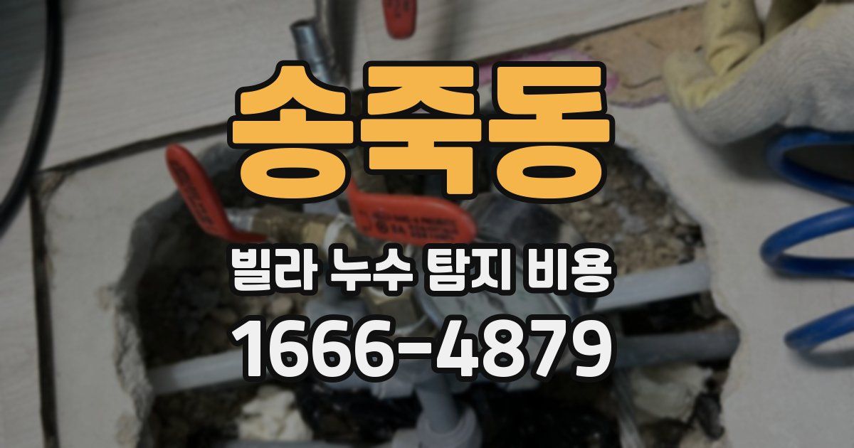 송죽동 빌라 누수 탐지 비용