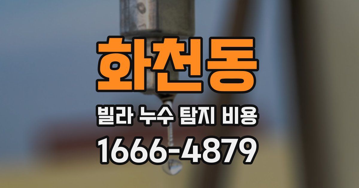 화천동 빌라 누수 탐지 비용