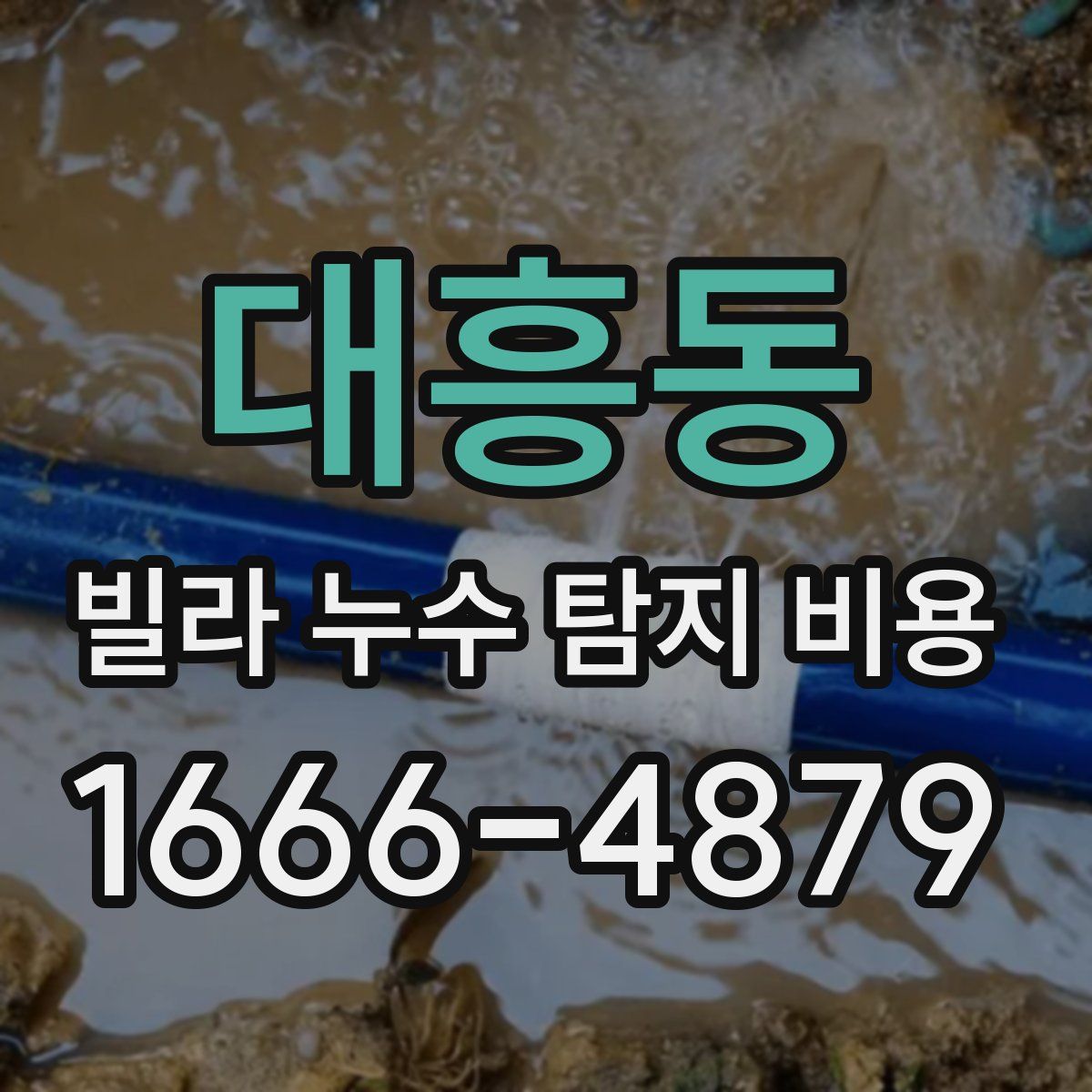 대흥동 빌라 누수 탐지 비용