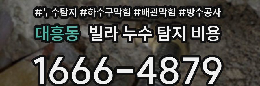 대흥동 빌라 누수 탐지 비용
