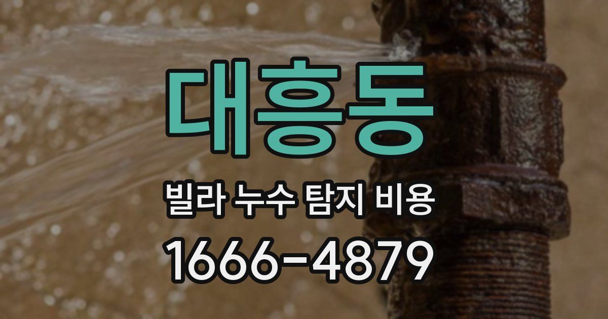 대흥동 빌라 누수 탐지 비용