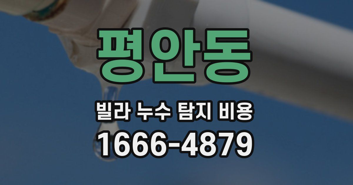 평안동 빌라 누수 탐지 비용