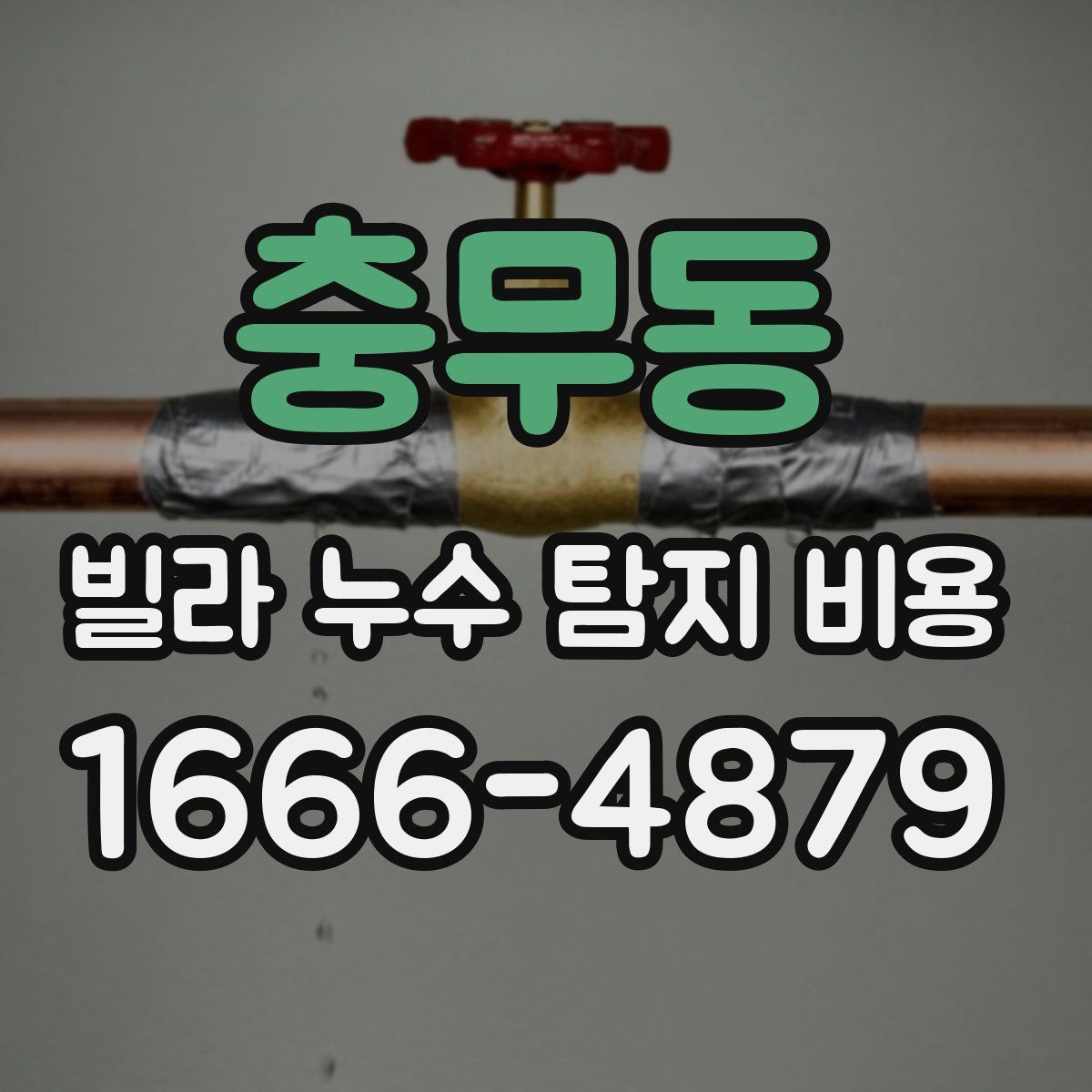 충무동 빌라 누수 탐지 비용