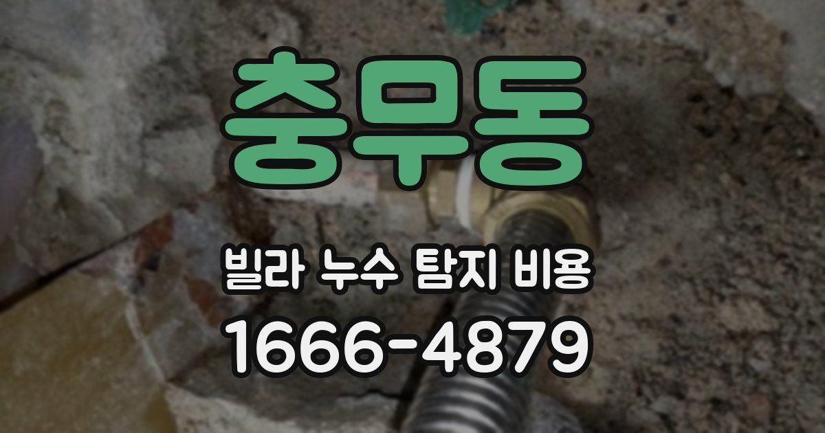 충무동 빌라 누수 탐지 비용