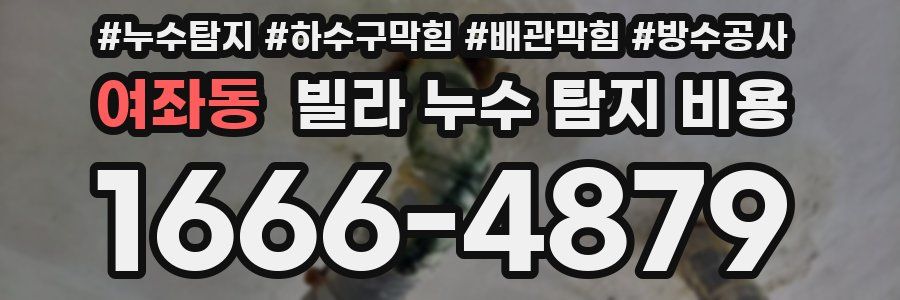 여좌동 빌라 누수 탐지 비용