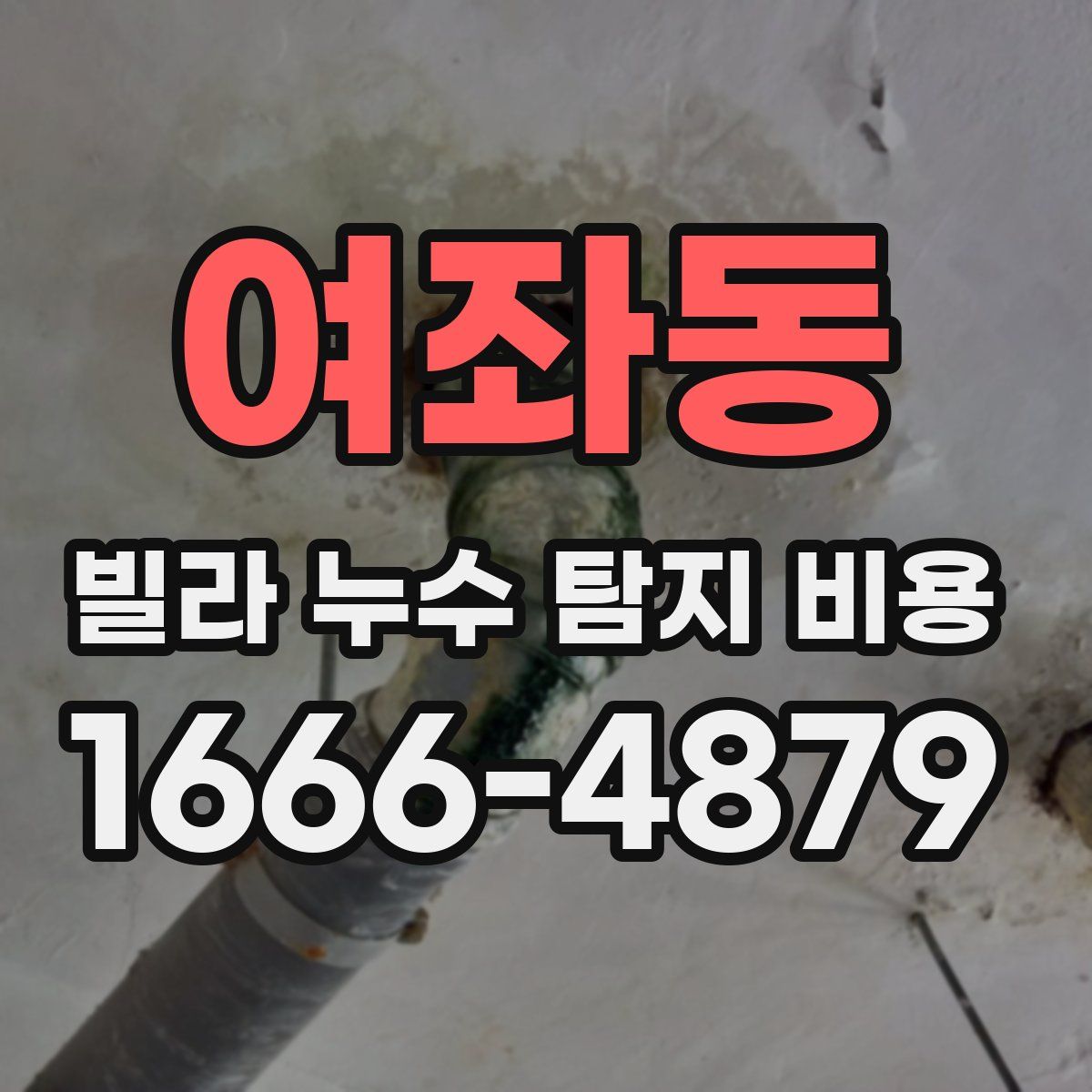 여좌동 빌라 누수 탐지 비용