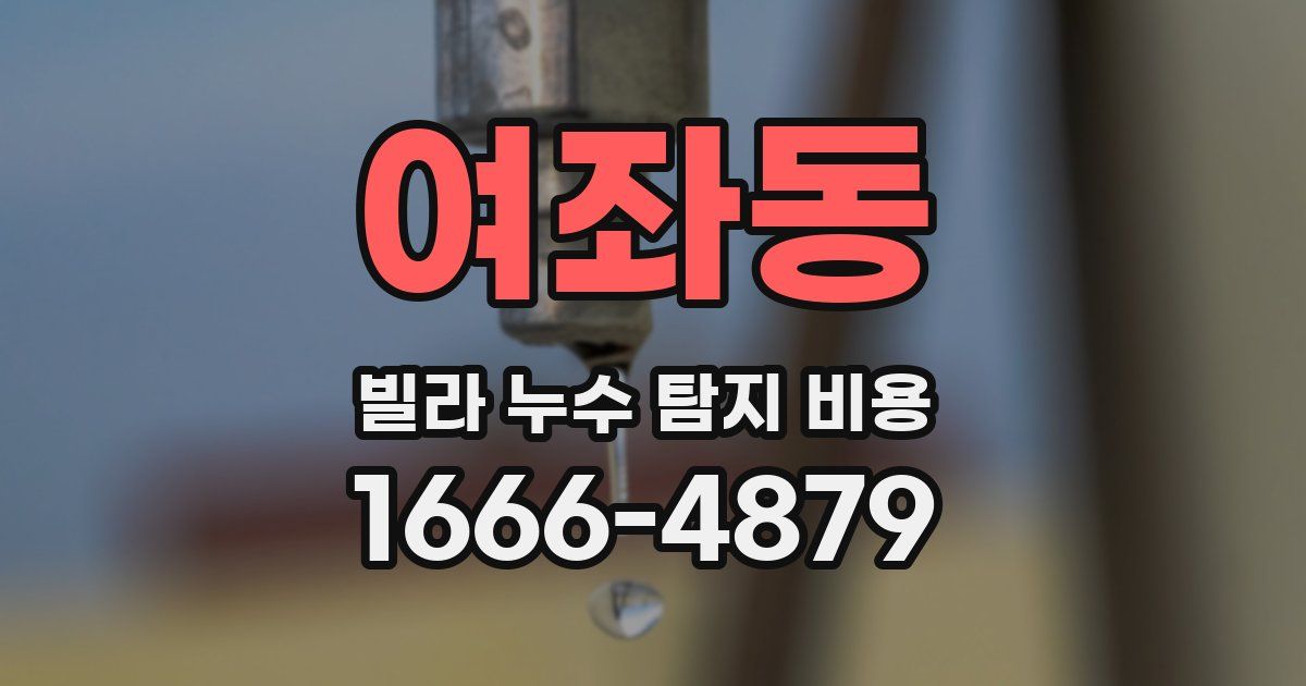 여좌동 빌라 누수 탐지 비용