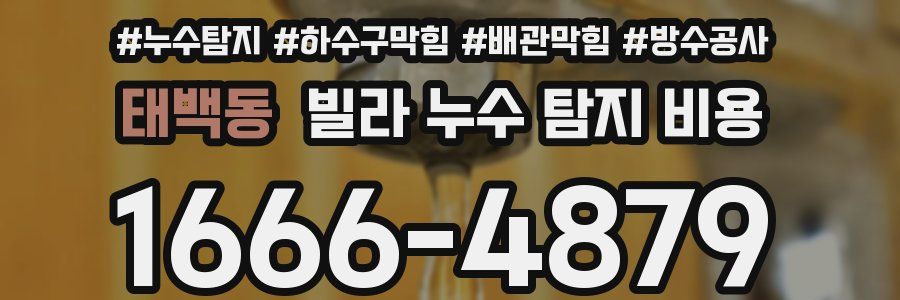 태백동 빌라 누수 탐지 비용