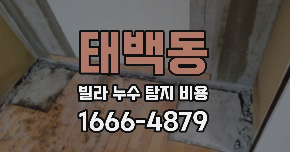 태백동 빌라 누수 탐지 비용