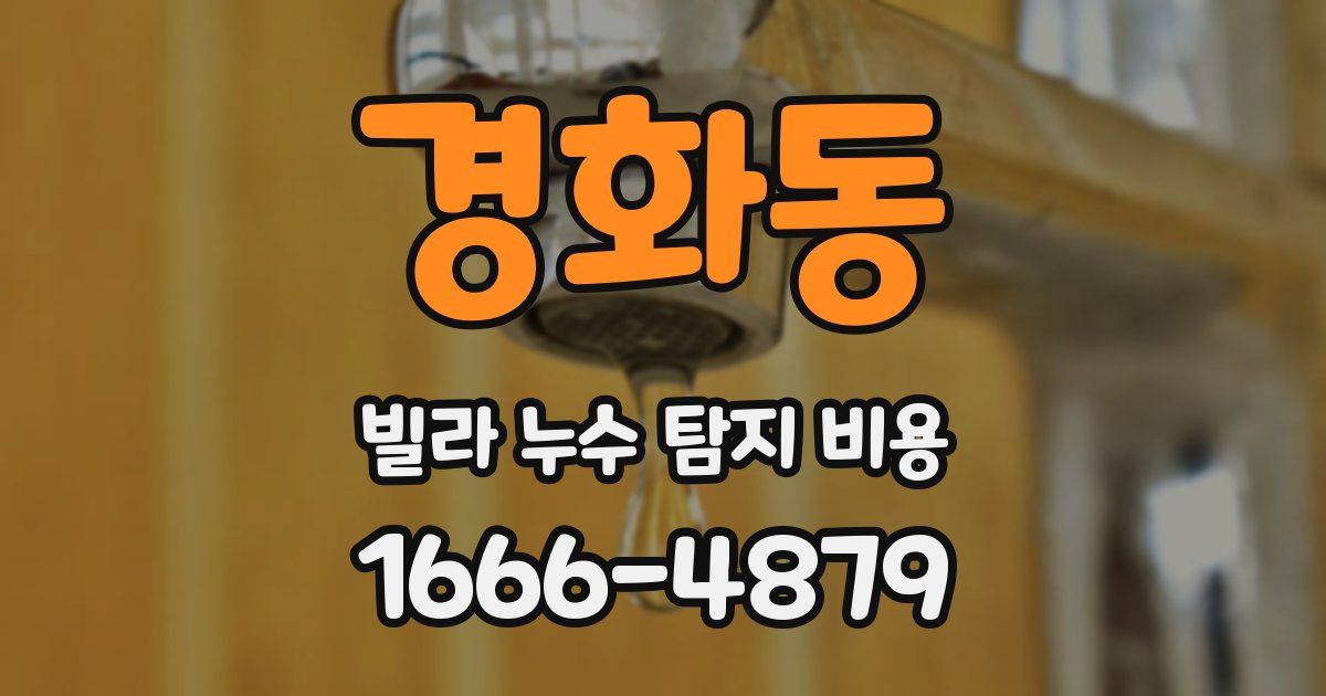 경화동 빌라 누수 탐지 비용