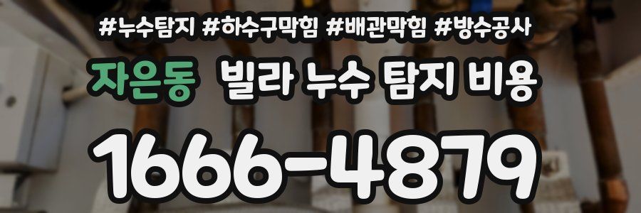 자은동 빌라 누수 탐지 비용