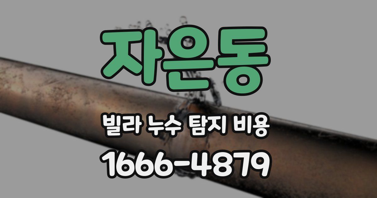 자은동 빌라 누수 탐지 비용