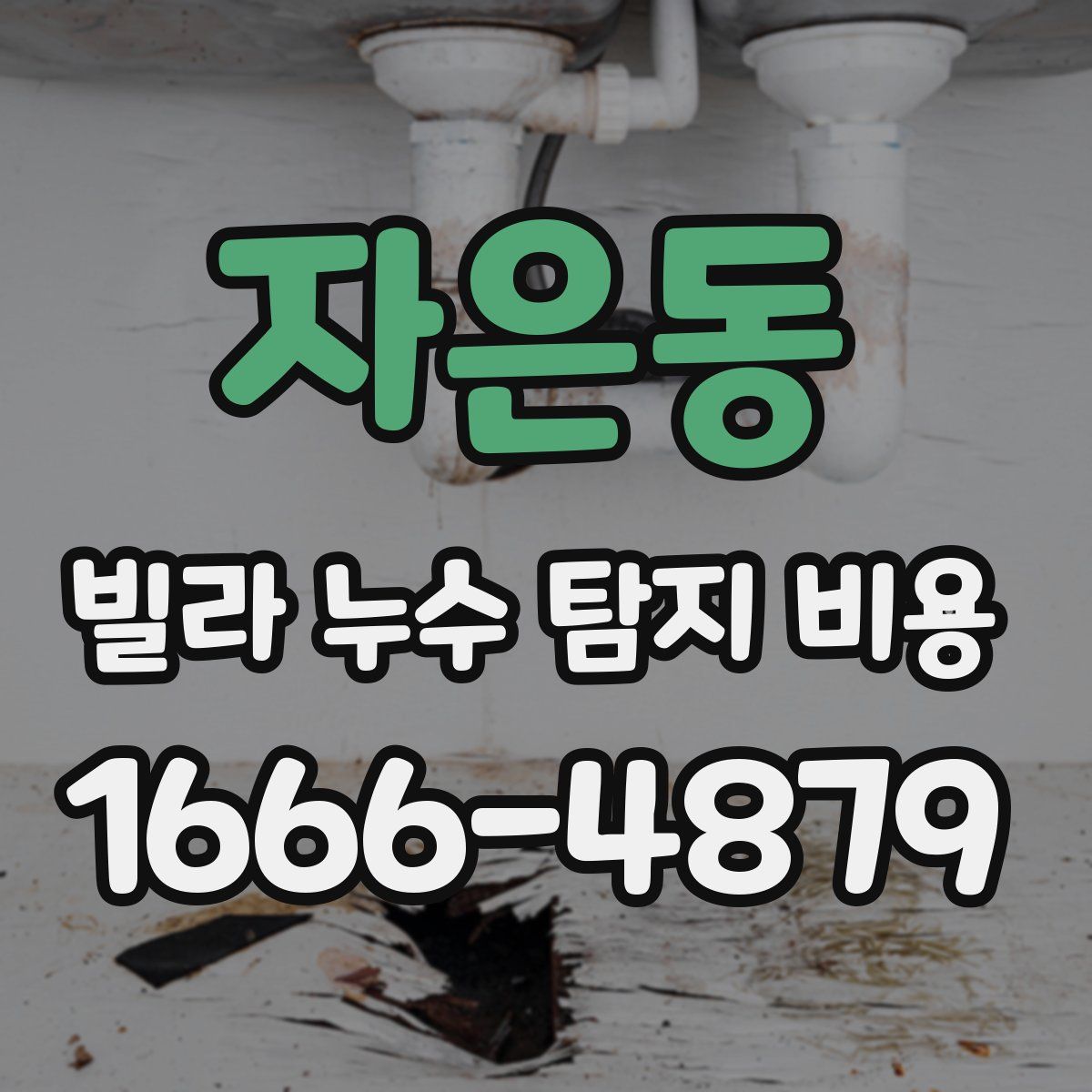 자은동 빌라 누수 탐지 비용