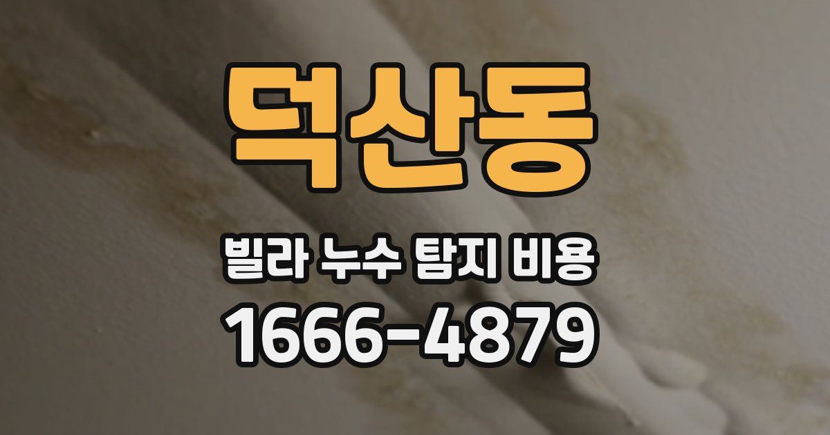 덕산동 빌라 누수 탐지 비용