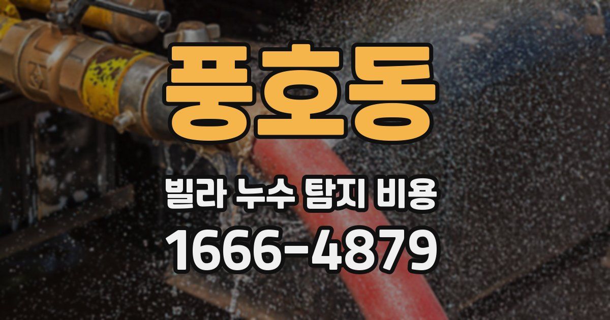 풍호동 빌라 누수 탐지 비용