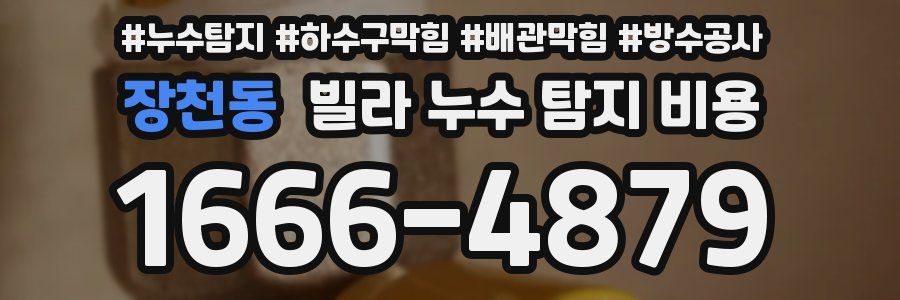 장천동 빌라 누수 탐지 비용