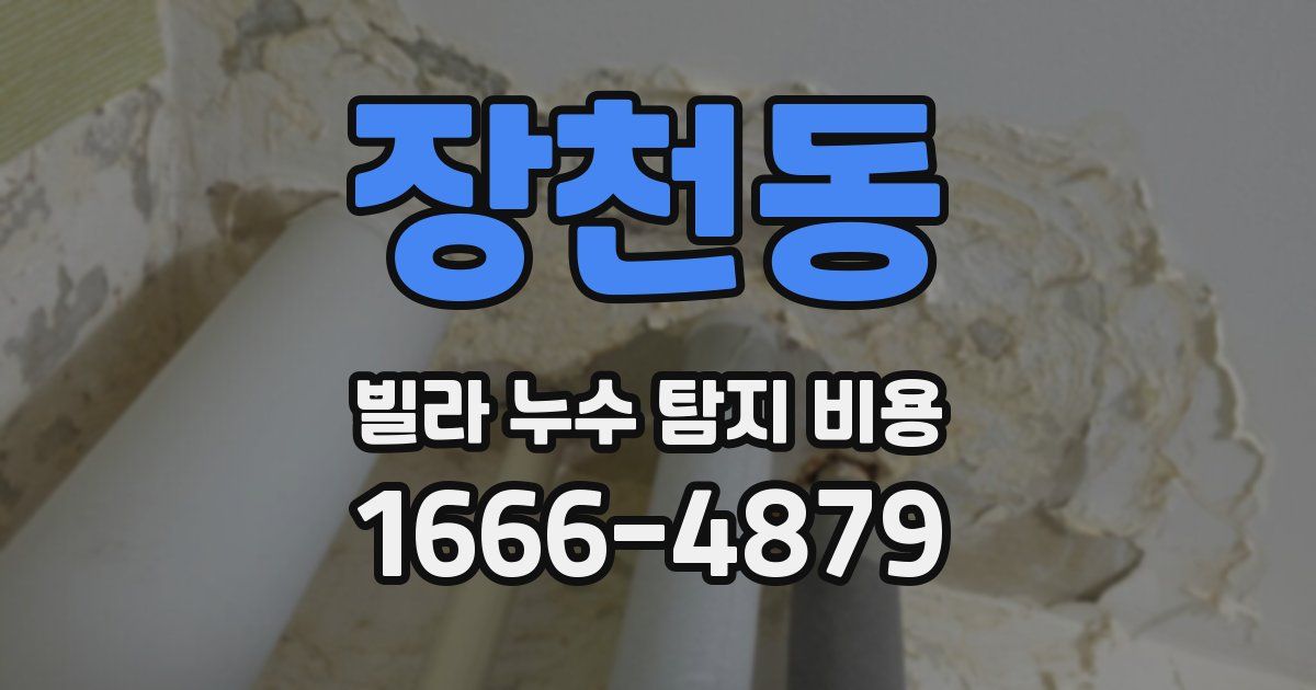 장천동 빌라 누수 탐지 비용