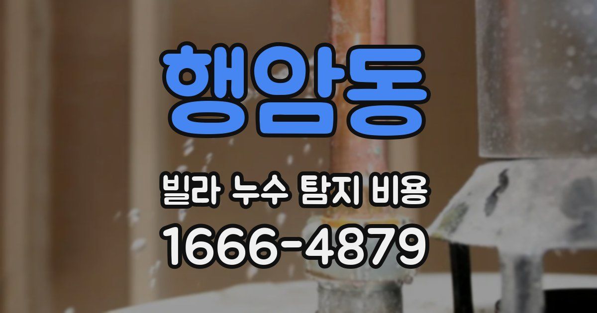 행암동 빌라 누수 탐지 비용