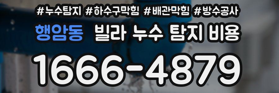 행암동 빌라 누수 탐지 비용
