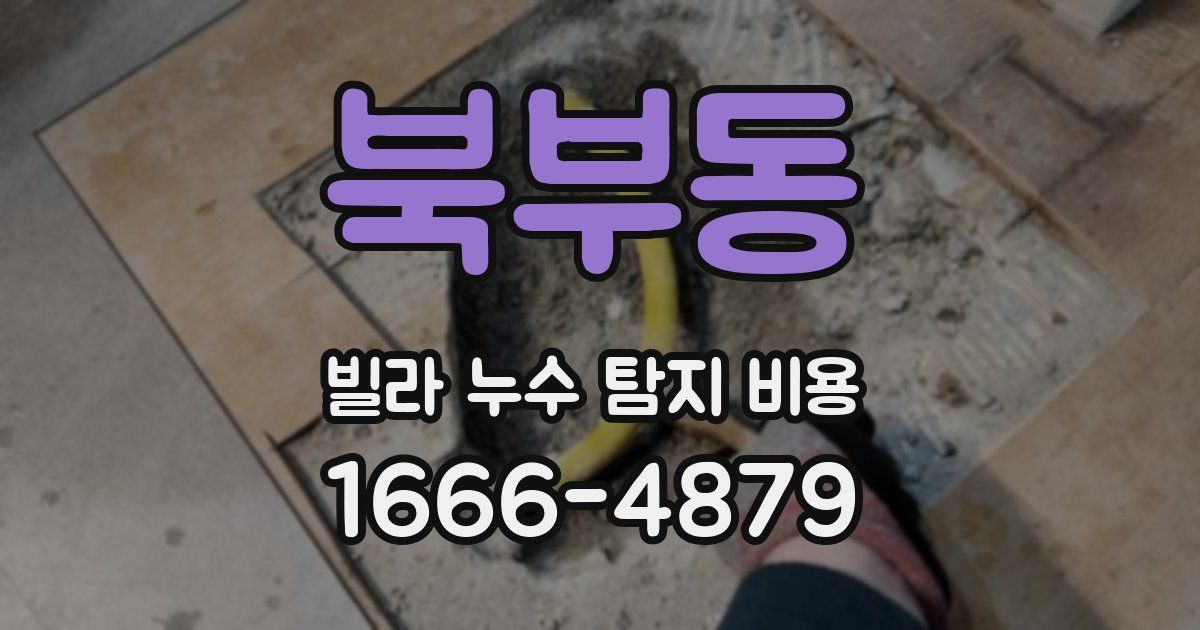 북부동 빌라 누수 탐지 비용