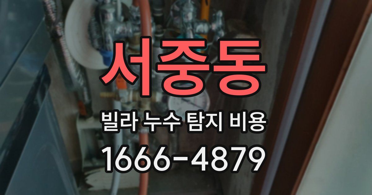서중동 빌라 누수 탐지 비용