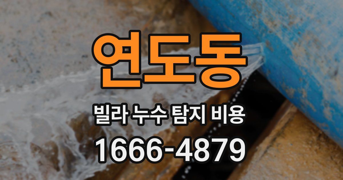 연도동 빌라 누수 탐지 비용