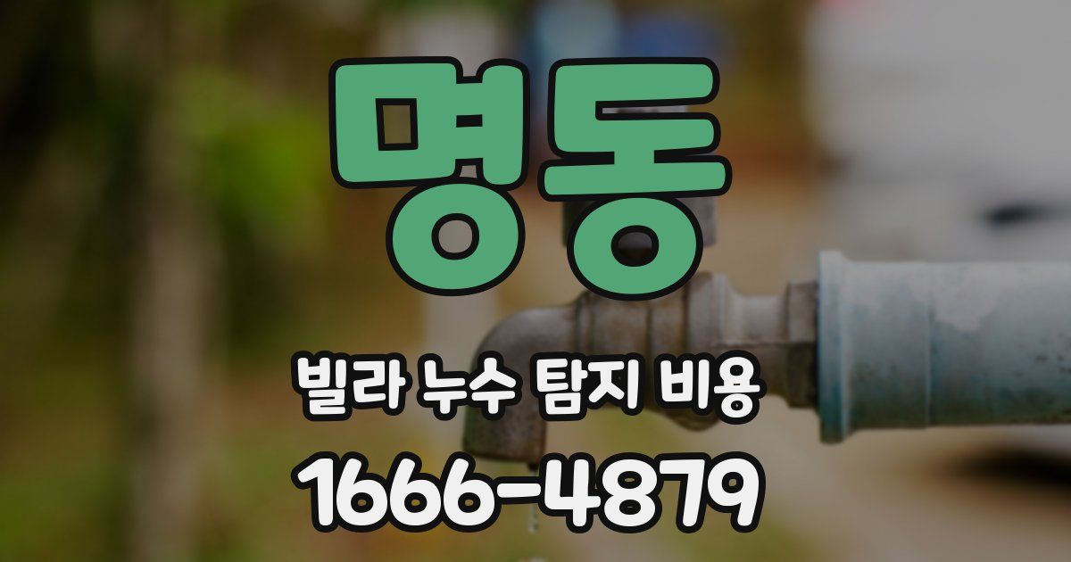 명동 빌라 누수 탐지 비용