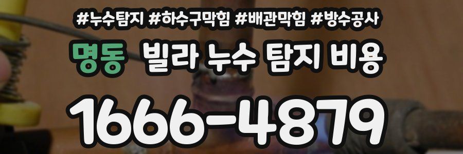 명동 빌라 누수 탐지 비용
