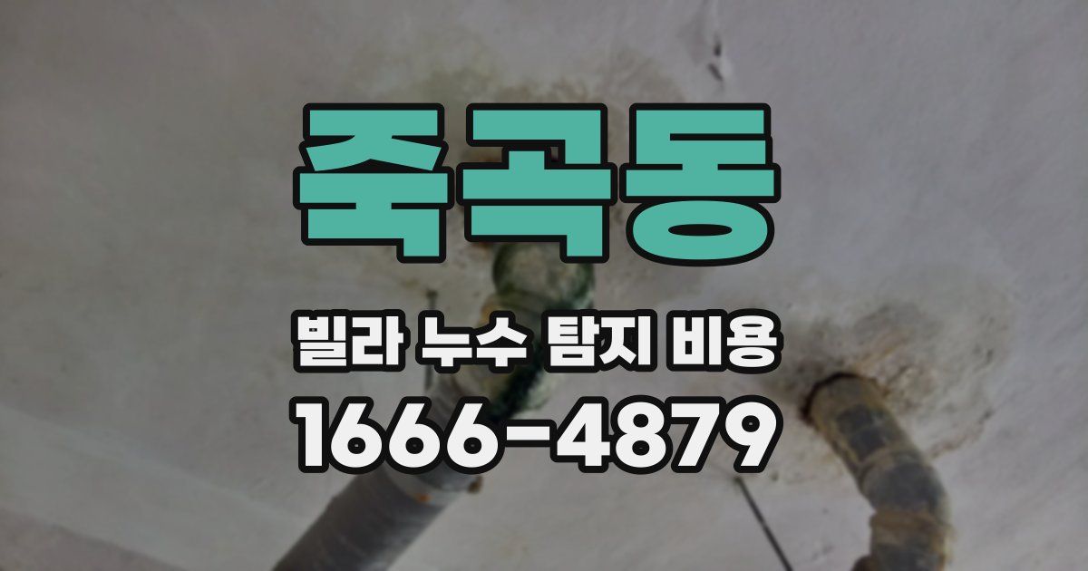 죽곡동 빌라 누수 탐지 비용