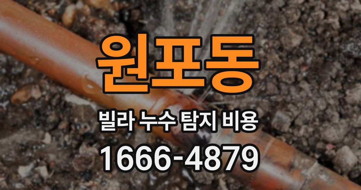 원포동 빌라 누수 탐지 비용