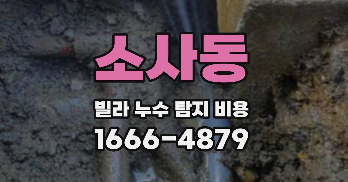 소사동 빌라 누수 탐지 비용